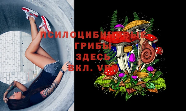 mdpv Богородицк