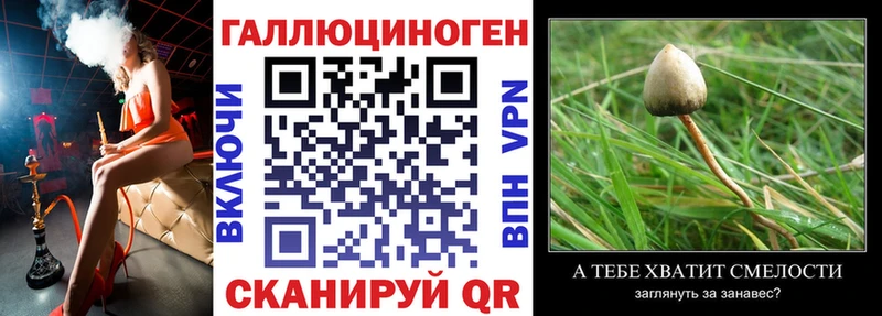Псилоцибиновые грибы Magic Shrooms  Маркс 